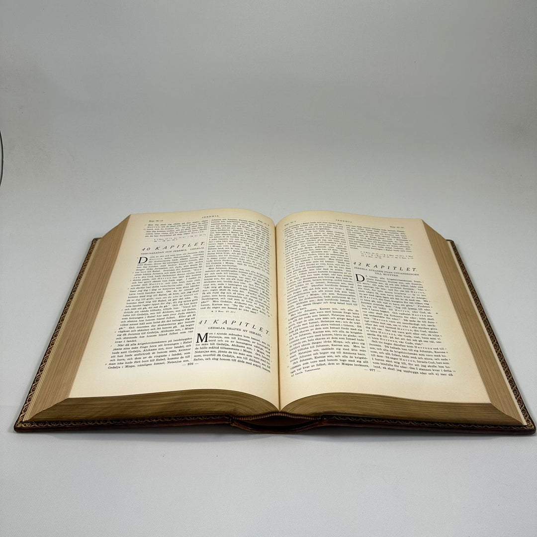 Historisk Bibel med Läderband och Gulddetaljer