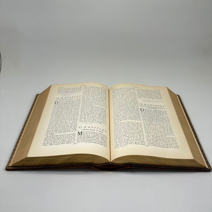 Historisk Bibel med Läderband och Gulddetaljer