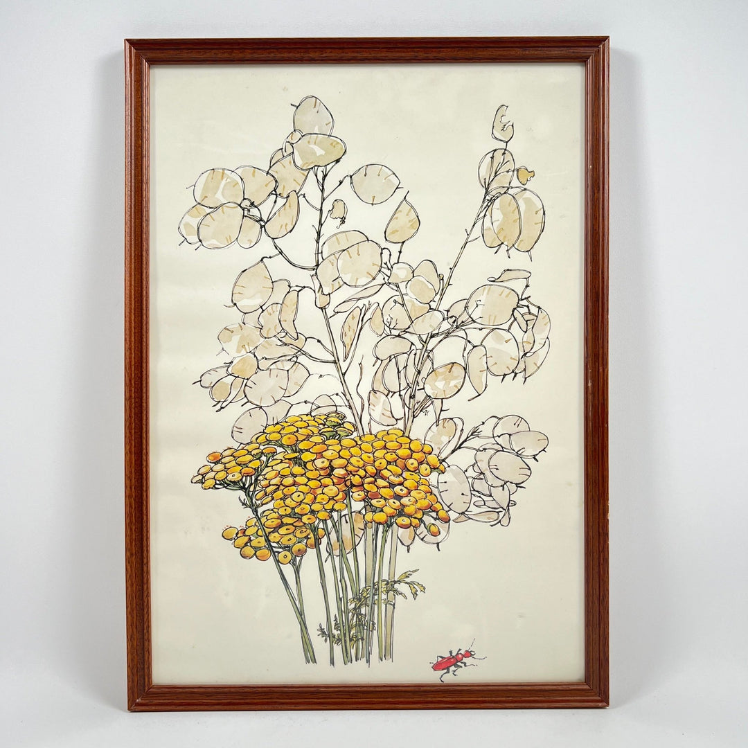 Botanisk Illustration med Vackra Blommor 45x32cm - Homy Secondhand Online