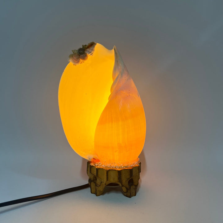 Lysande äggformad bordslampa med groddetaljer - Homy Secondhand Online