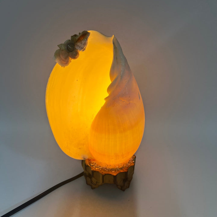 Lysande äggformad bordslampa med groddetaljer - Homy Secondhand Online