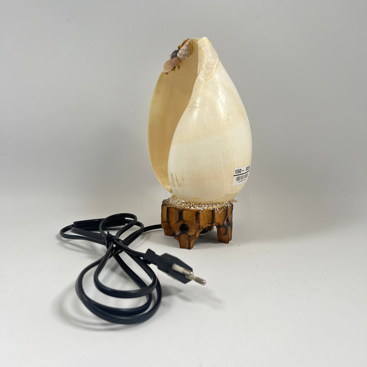 Lysande äggformad bordslampa med groddetaljer - Homy Secondhand Online