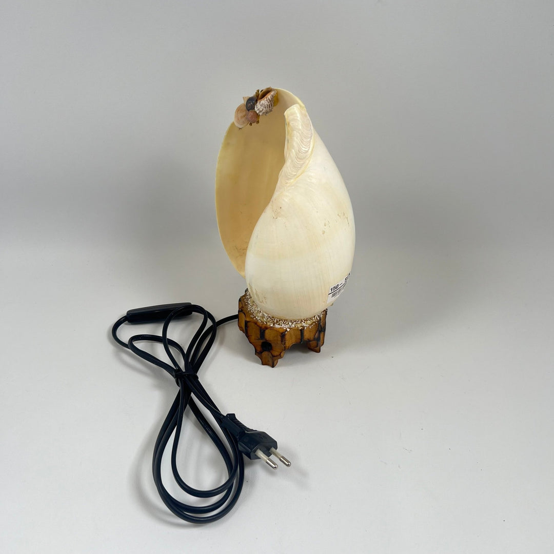 Lysande äggformad bordslampa med groddetaljer - Homy Secondhand Online