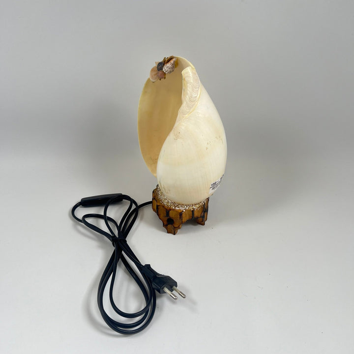 Lysande äggformad bordslampa med groddetaljer - Homy Secondhand Online