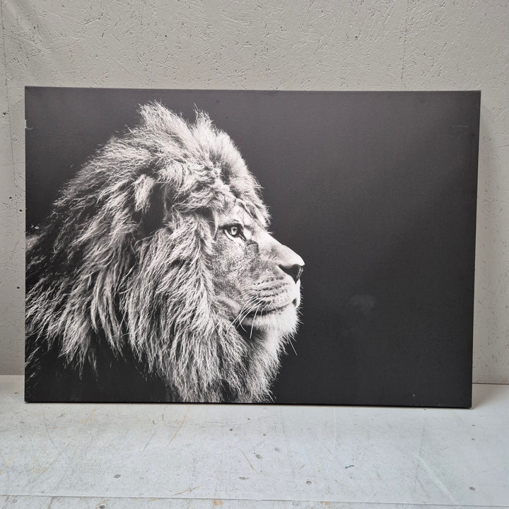 Svartvit Lejon Canvastavla 70x100 cm