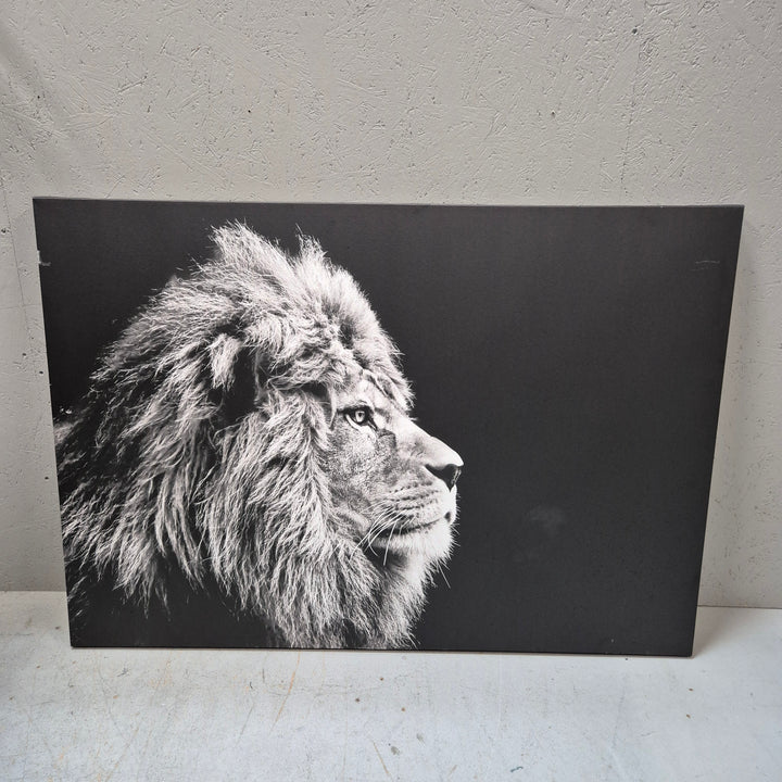 Svartvit Lejon Canvastavla 70x100 cm