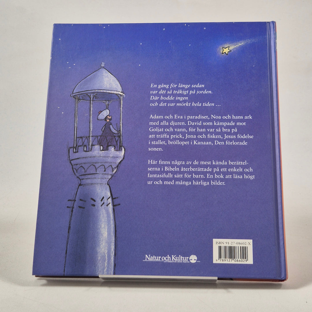 Noas Ark Barnbok med Färgstarka Illustrationer