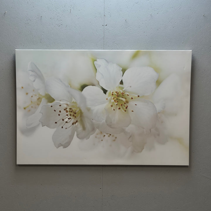 IKEA PJÄTTERYD BlomCanvas Vita Blommor