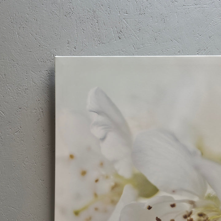 IKEA PJÄTTERYD BlomCanvas Vita Blommor