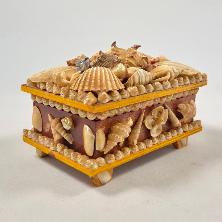 Vintage smyckeskrin i trä med snäckskal