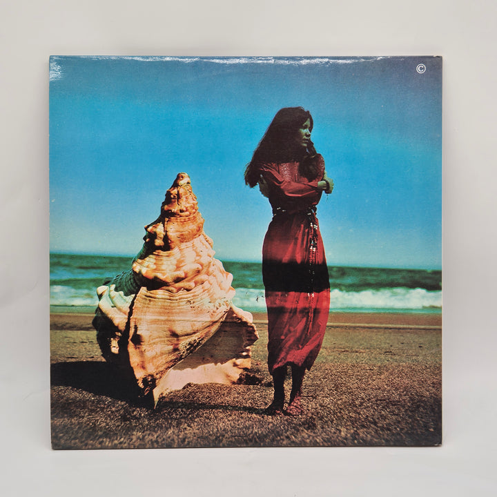 Retro vinylskivor med hawaiimusik i toppskick