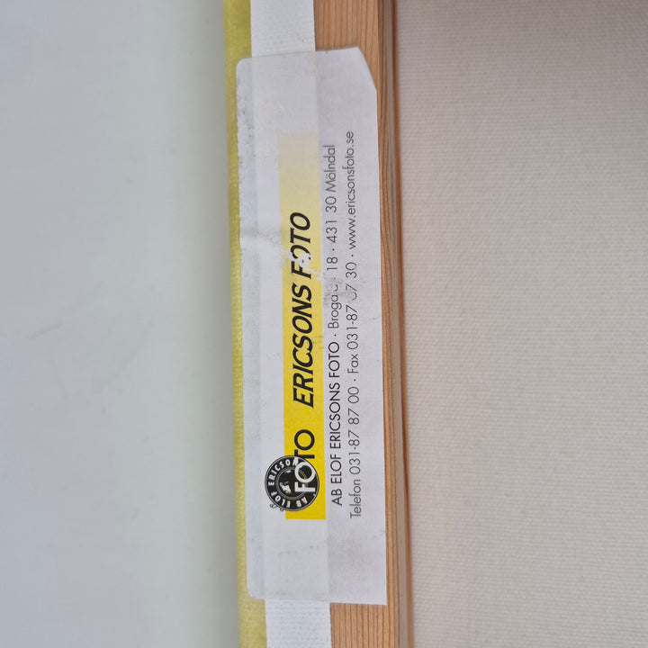 Canvastavla Rådjur i Natur av Ericsons Foto