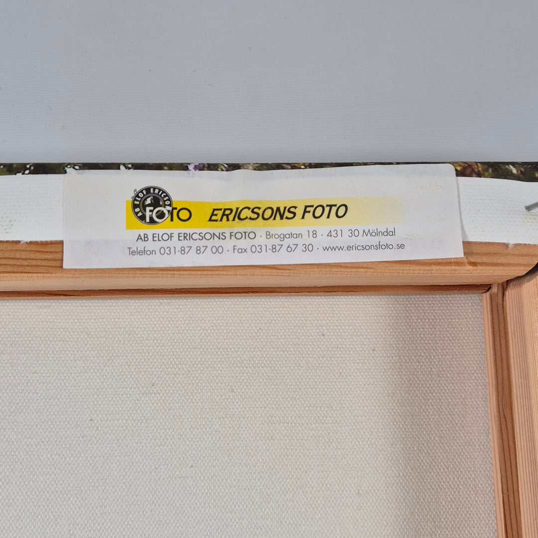 Vacker Ericsons Foto tavla med höstlandskap