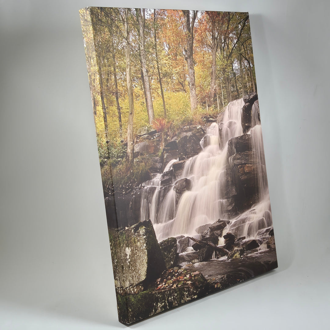 Vacker Ericsons Foto tavla med höstlandskap