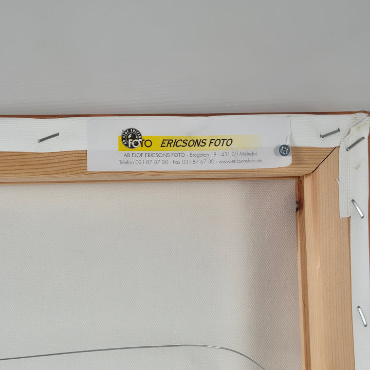 Canvastavla med Fågelmotiv från Ericsons Foto