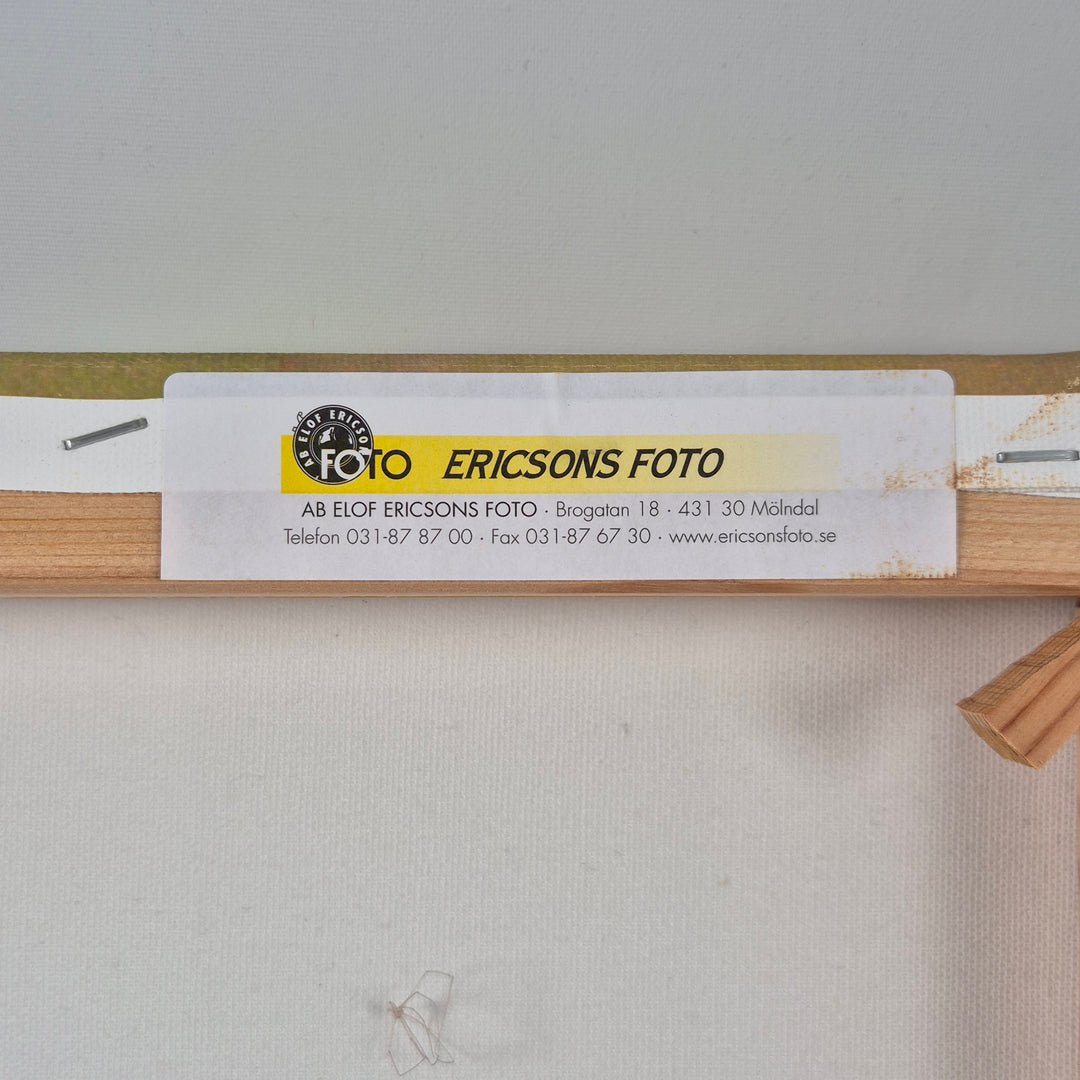 Fotokonst av Svartvit Flugsnappare från Ericsons Foto