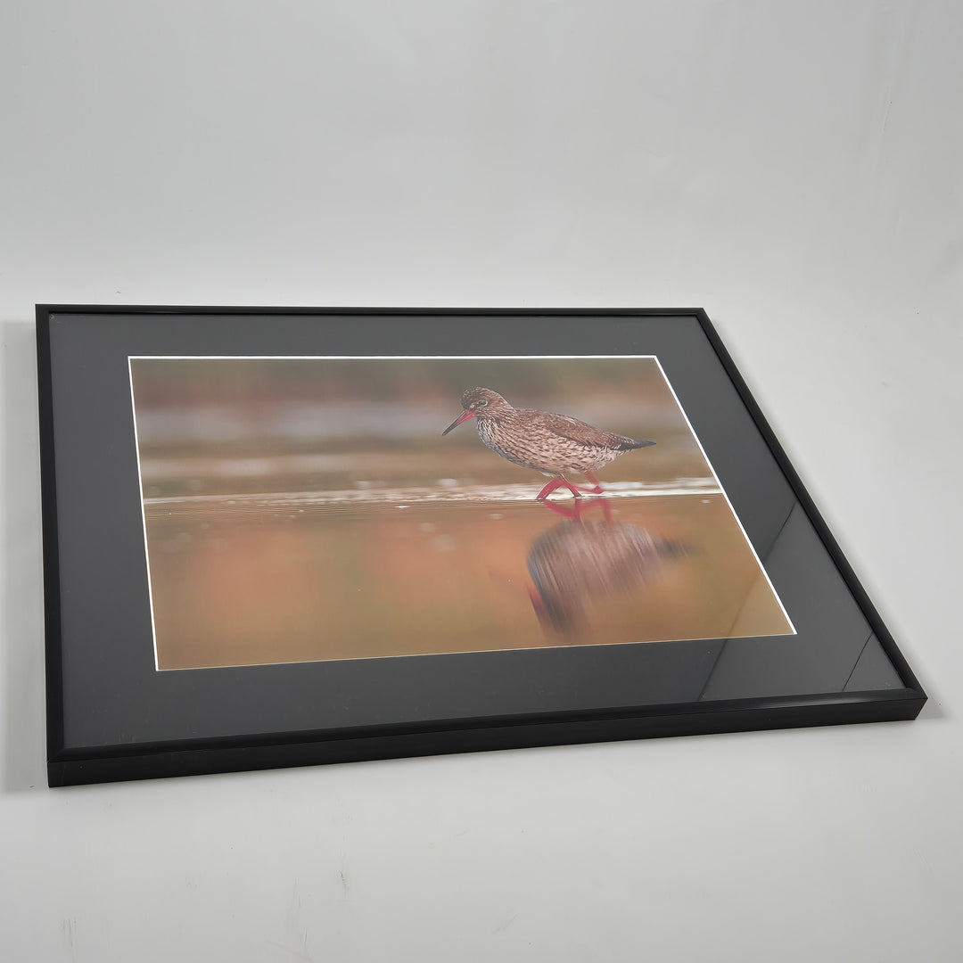 Elegant inramad vadarfågel i svart ram