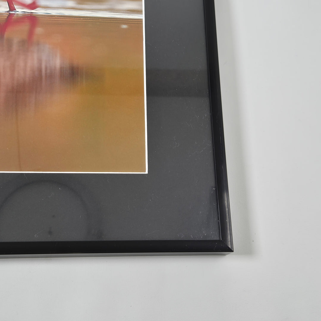 Elegant inramad vadarfågel i svart ram