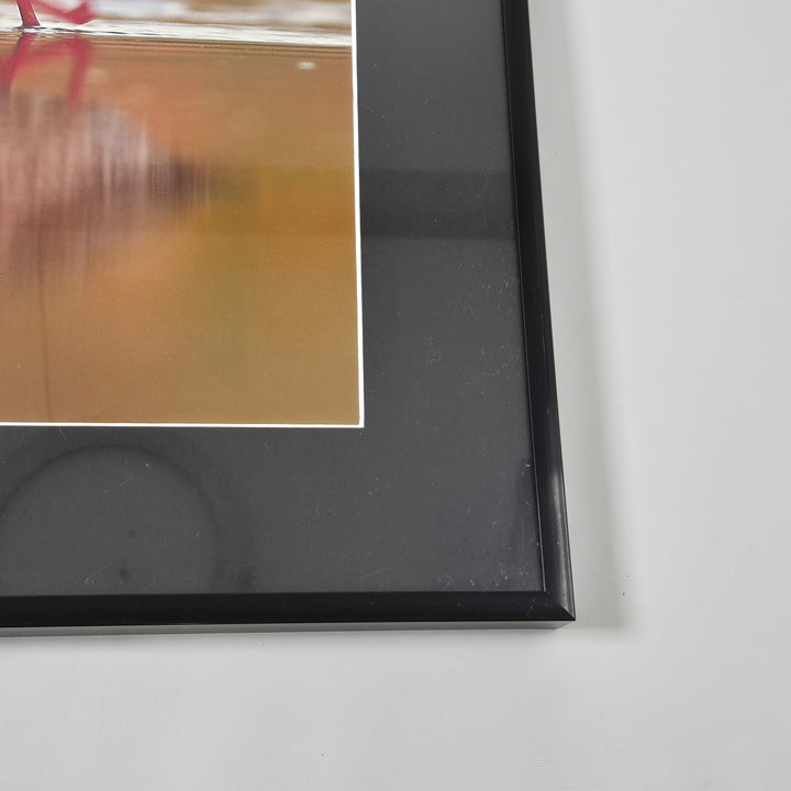 Elegant inramad vadarfågel i svart ram