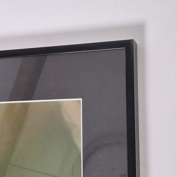 Makrofotografi av Insekt i Svart Ram