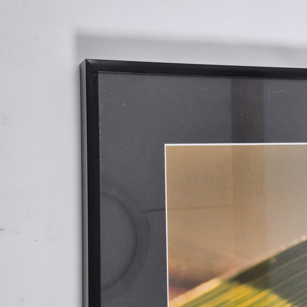 Insektmotiv Tavla i Glasram 52x42 cm