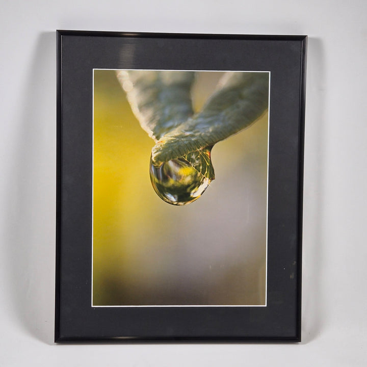 Fotorealistisk naturtavla med svart ram