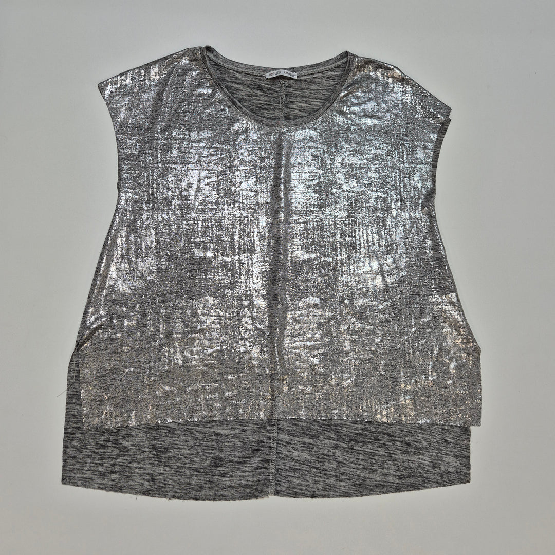 Glamorös Silverfärgad Top från Zara Damkläder