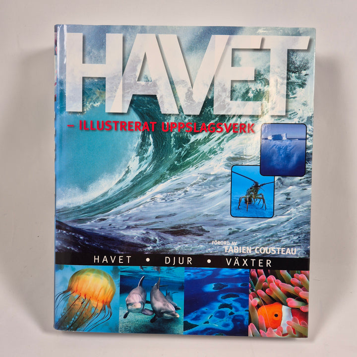Havet illustrerat uppslagsverk Globe Förlaget bok