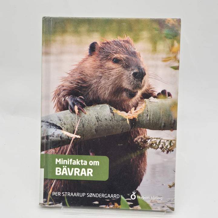 Minifakta om bävrar barnbok Nypon förlag