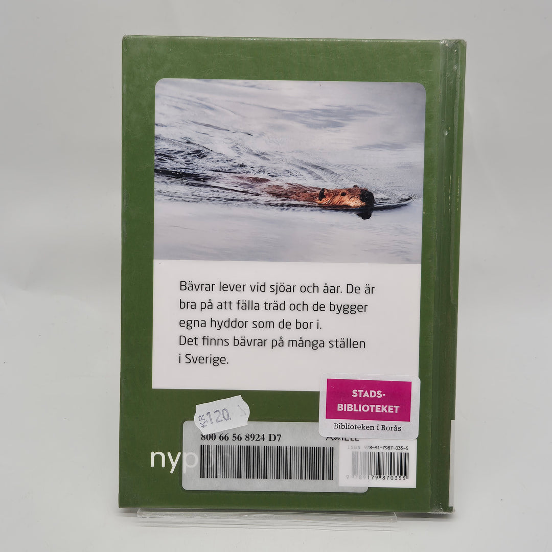 Minifakta om bävrar barnbok Nypon förlag