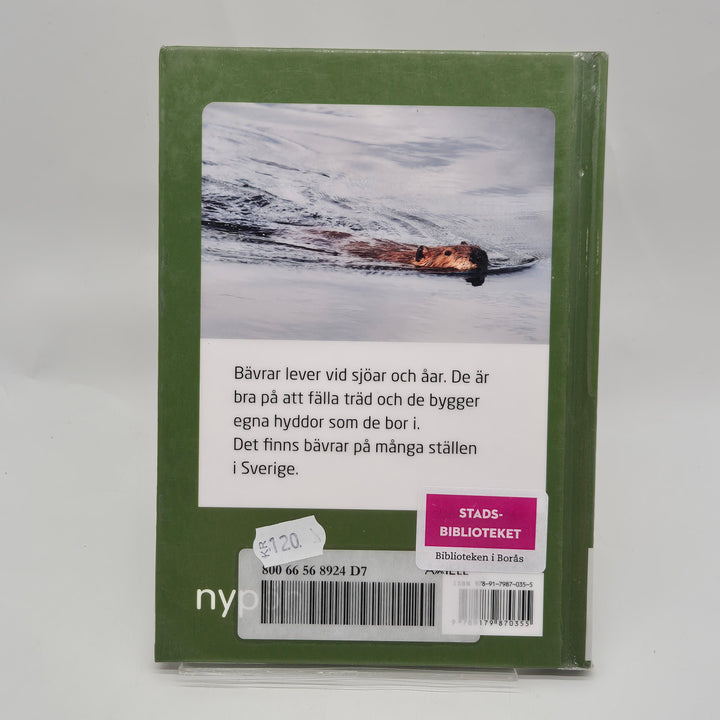 Minifakta om bävrar barnbok Nypon förlag