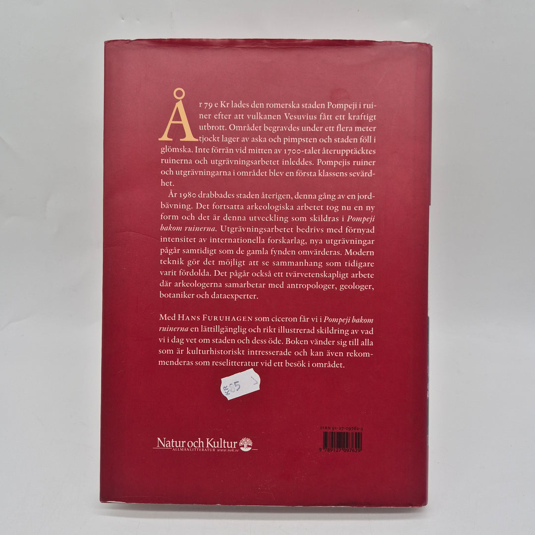 Pompeji bakom ruinerna historiebok Natur och Kultur