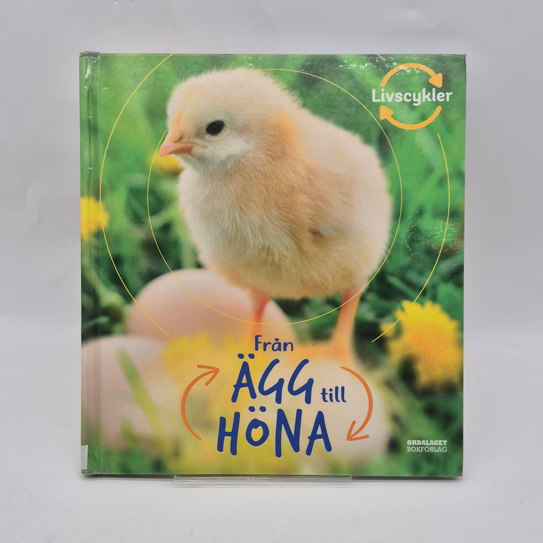 Från ägg till höna barnfaktabok Ordalaget