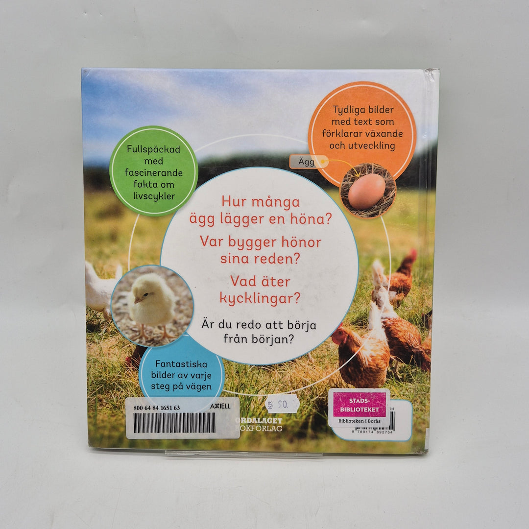 Från ägg till höna barnfaktabok Ordalaget