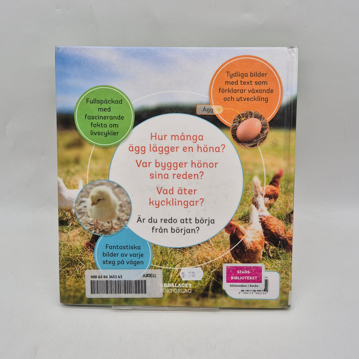 Från ägg till höna barnfaktabok Ordalaget
