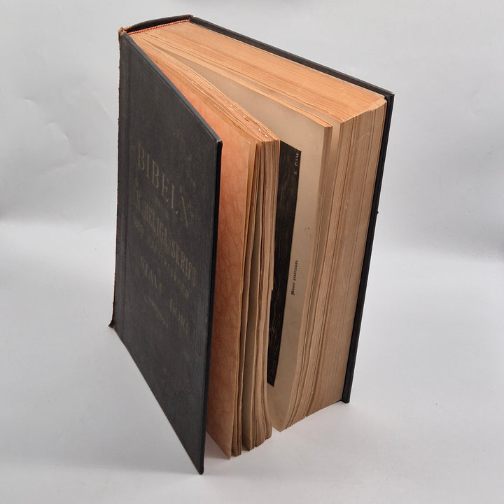 Retro dekorativ bibel Gustave Doré illustrerad