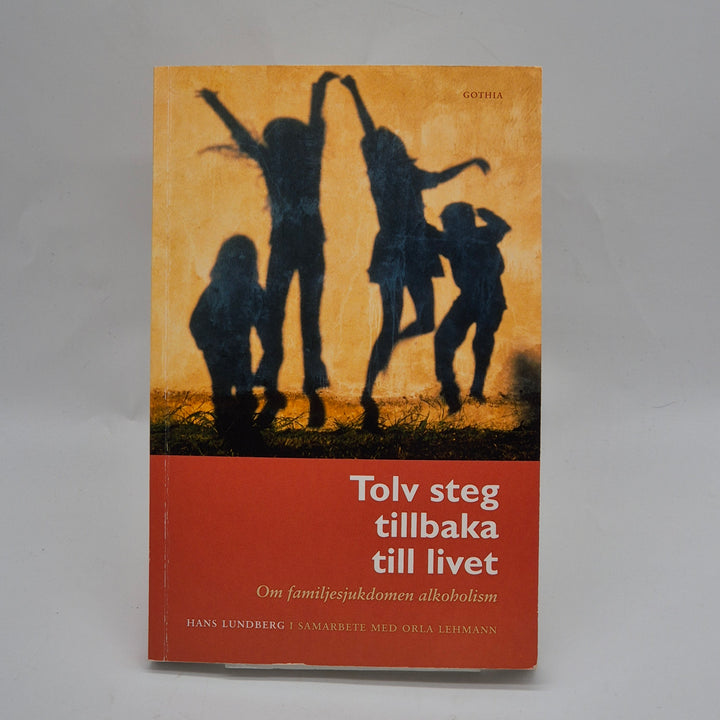 Tolv steg tillbaka till livet fackbok