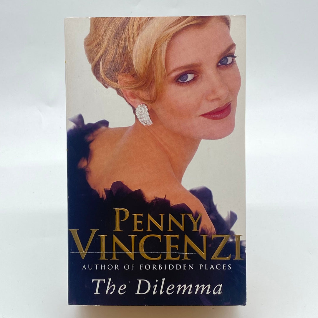 Penny Vincenzi Roman "The Dilemma" - Homy Secondhand Online