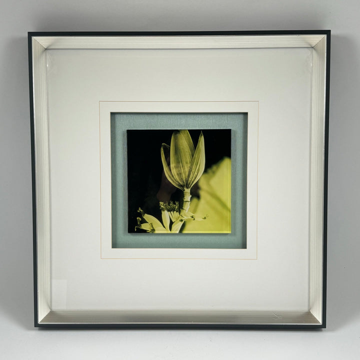 Elegant Blomma i Stilren Ram – Inramad Konst Fotografi - Homy Secondhand Online