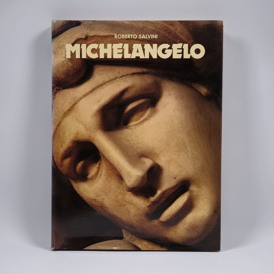 Roberto Salvinis djupdykning i Michelangelos konstverk - Homy Secondhand Online