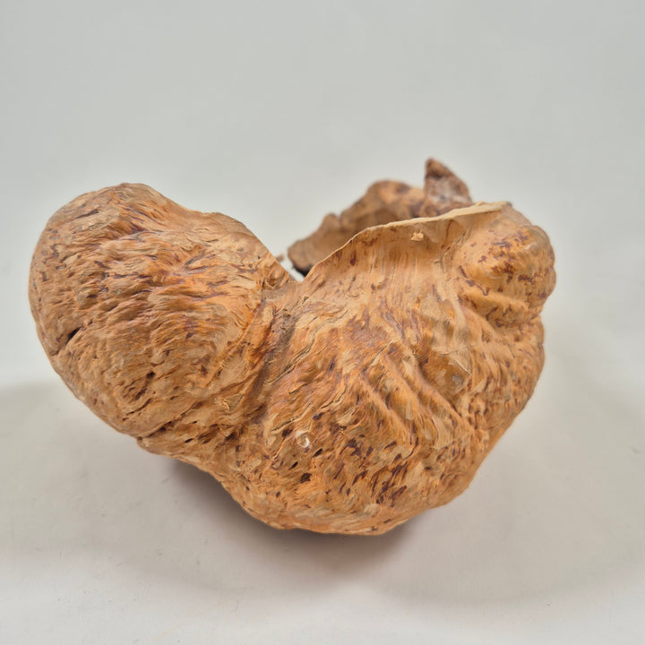 Organisk dekorationsskål i massivt trä – unik handgjord retrodesign (20 cm)