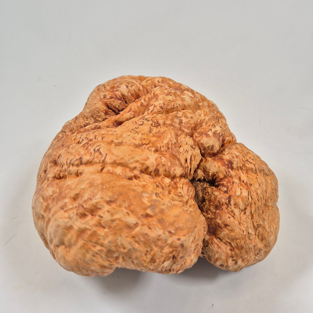 Organisk dekorationsskål i massivt trä – unik handgjord retrodesign (20 cm)