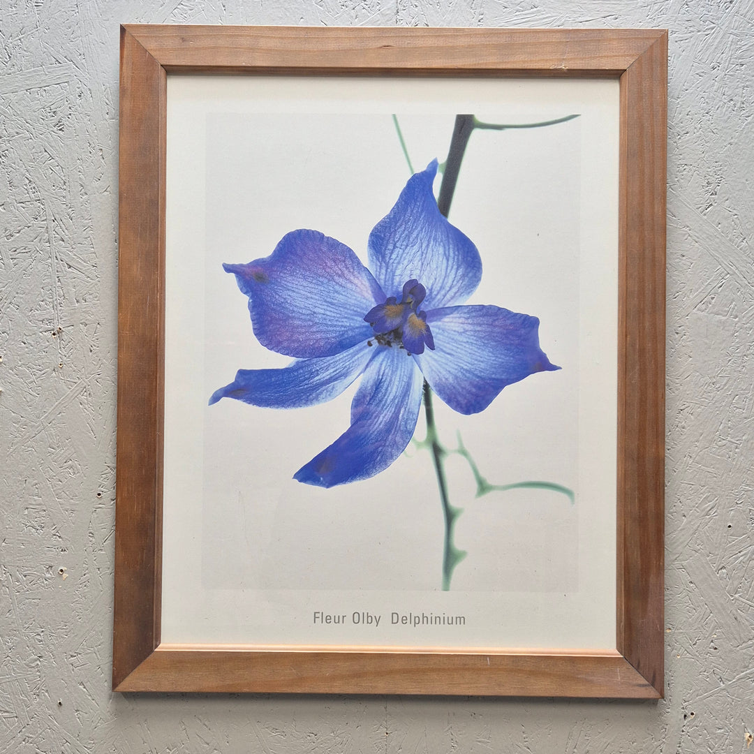 Elegant Blomfotografi av Fleur Olby