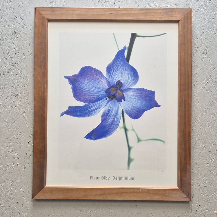 Elegant Blomfotografi av Fleur Olby