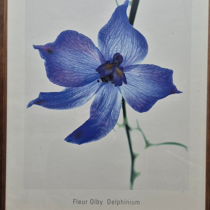 Elegant Blomfotografi av Fleur Olby