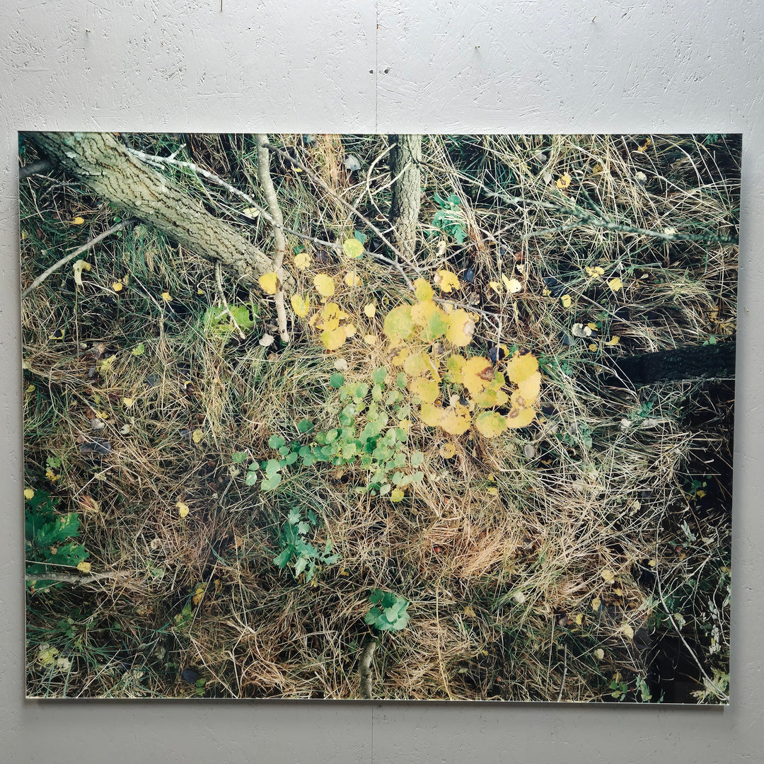 Unik fotokonst Still Life with Yellow