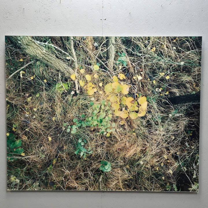 Unik fotokonst Still Life with Yellow