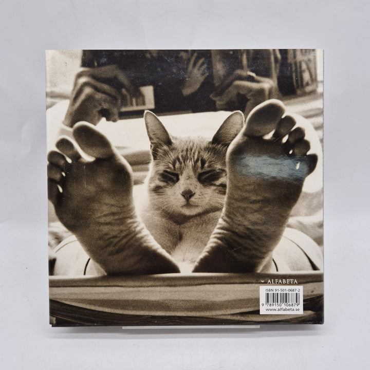 Fotobok katter svartvit Alfabeta coffeetable