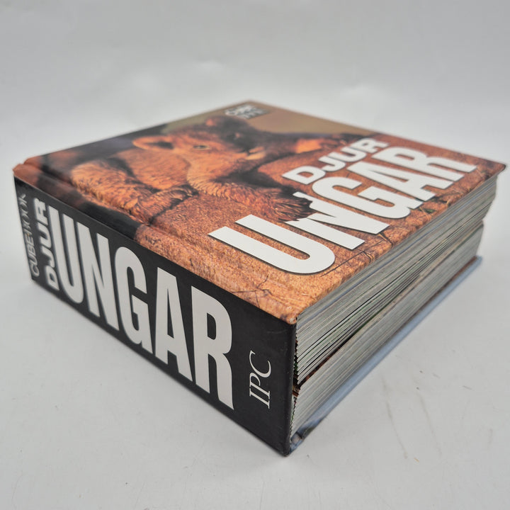 Djurungar fotobok Cube Book kubformat modern