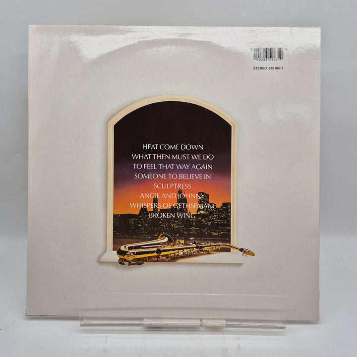David Knopfler Lips Against The Steel retro LP